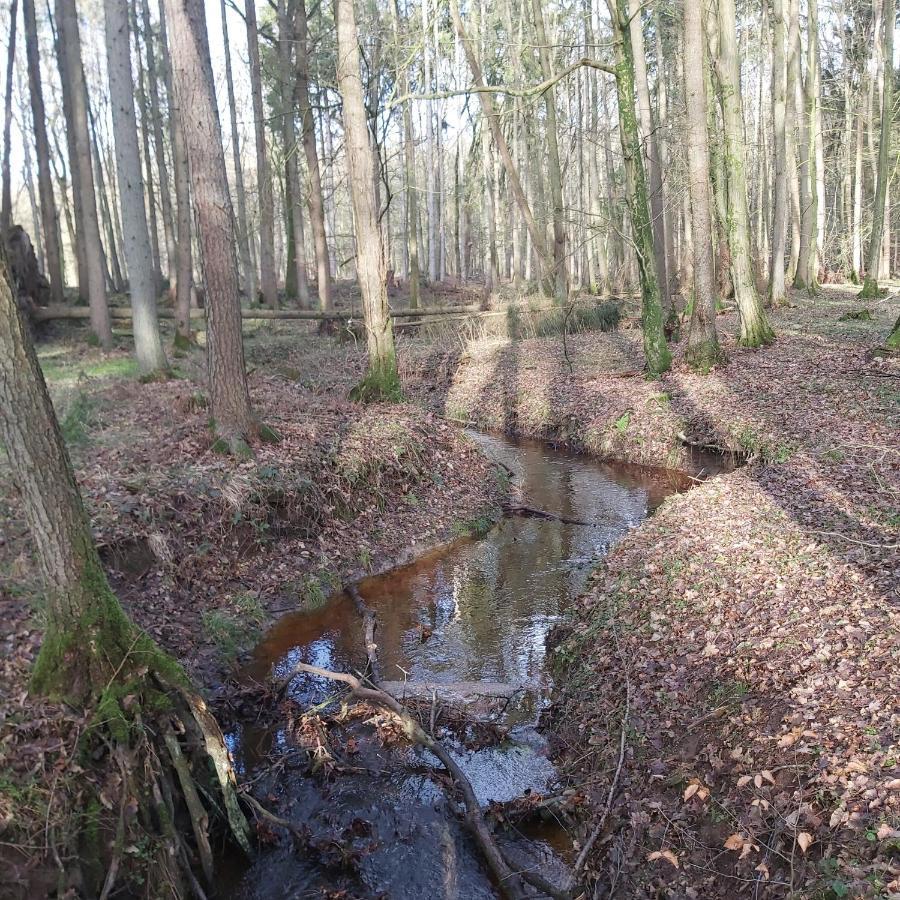Apartment In Upper Floor In Nature Reserve. Hipstedt Esterno foto