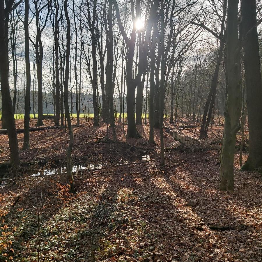 Apartment In Upper Floor In Nature Reserve. Hipstedt Esterno foto